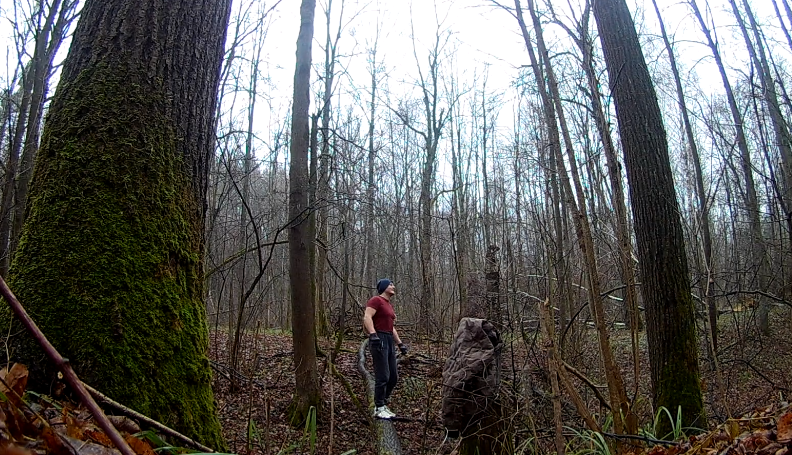 В лесу, ноябрь 2019