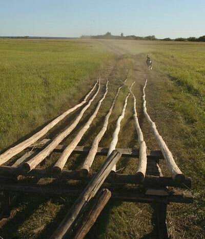 Фото с Яндекс картинок