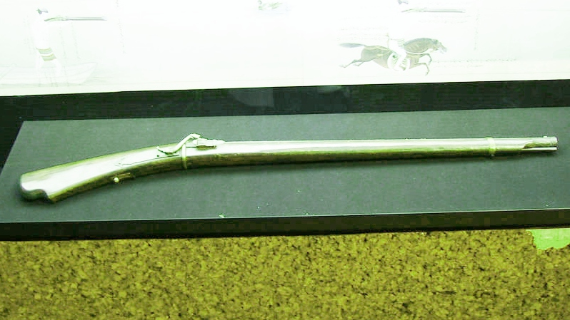 Танэгасима