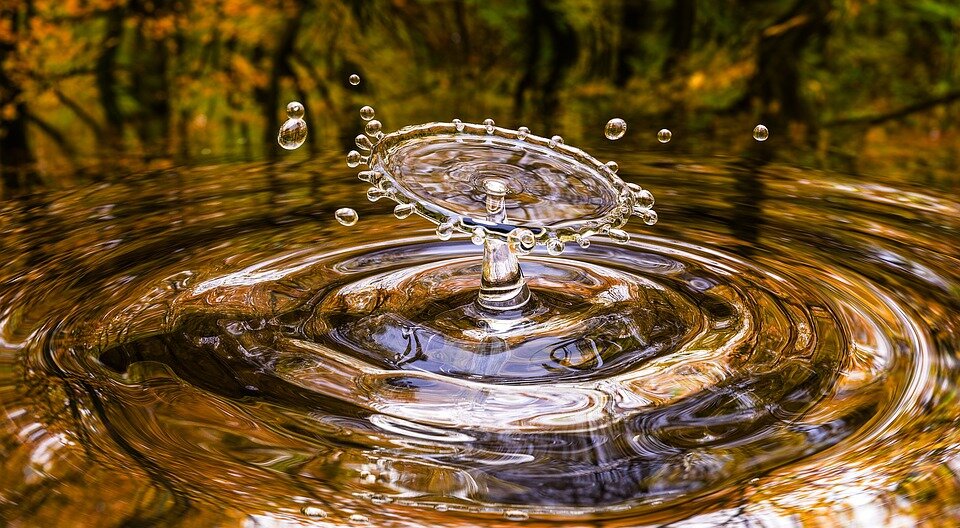 Фото: pixabay.com