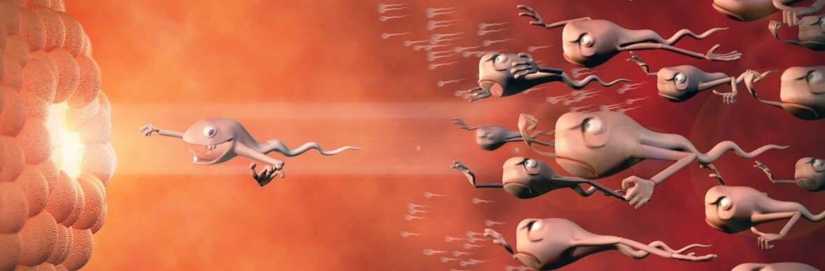 Процесс зачатия 