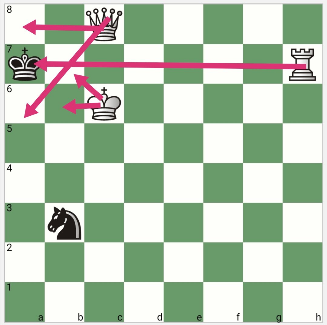 Визуализация с помощью приложения Chess Coach