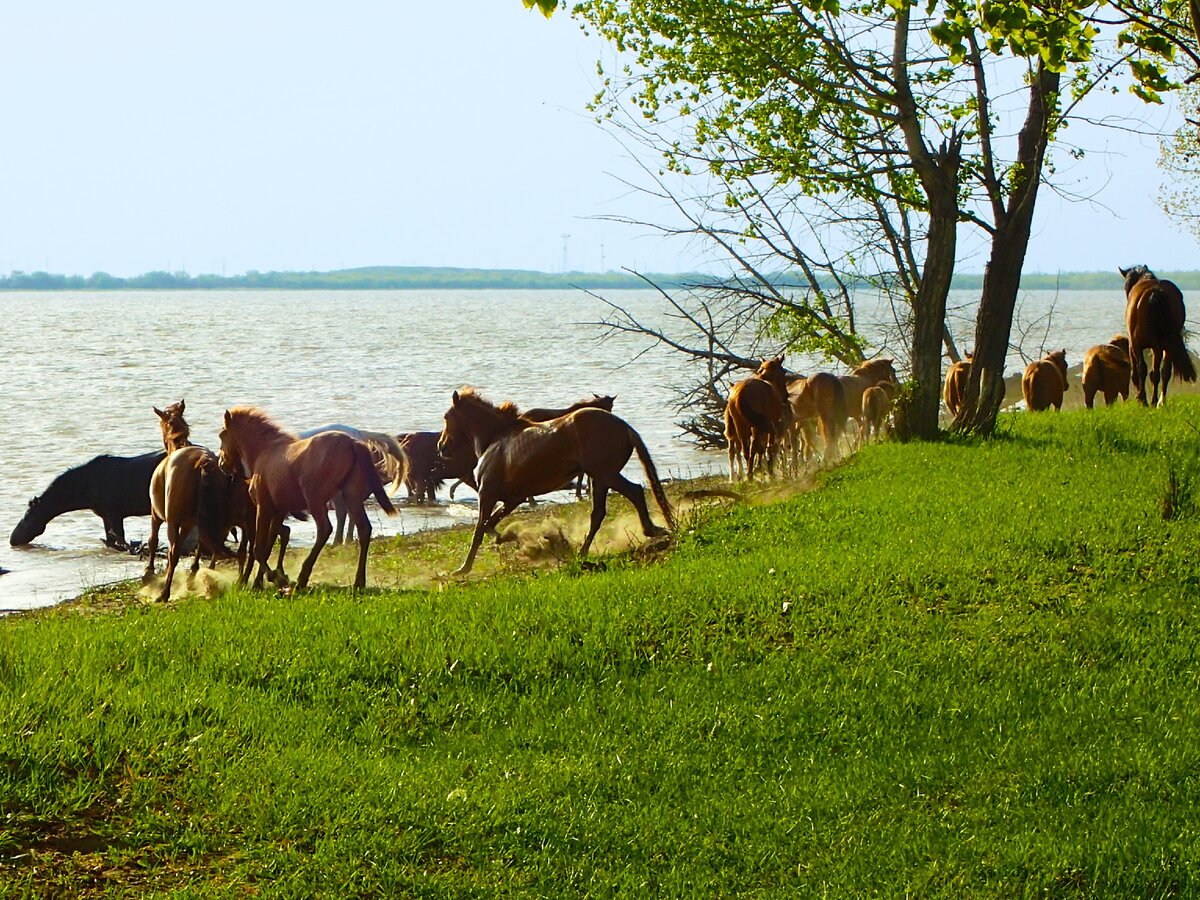 Ура! Купаться! Фото автора.