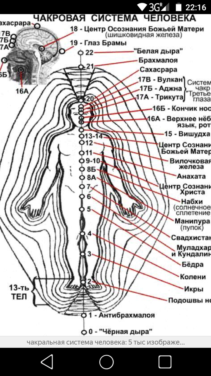 Системы находящийся в человеке. 12 Чакровая система человека схема. 13 Чакровая система человека Мельхиседек. Энергетическая система человека и чакры. Чакральная система человека дополнительные чакры.