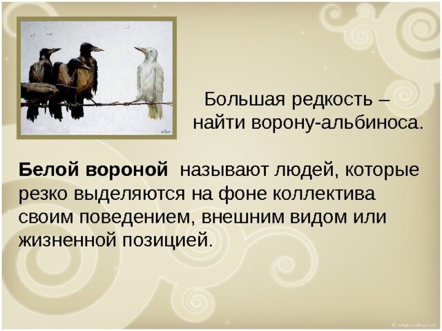Крылатое выражение белая ворона. Белая ворона в обществе. Кого называют белыми воронами. Белая ворона фразеологизм. Белая ворона альбинос.
