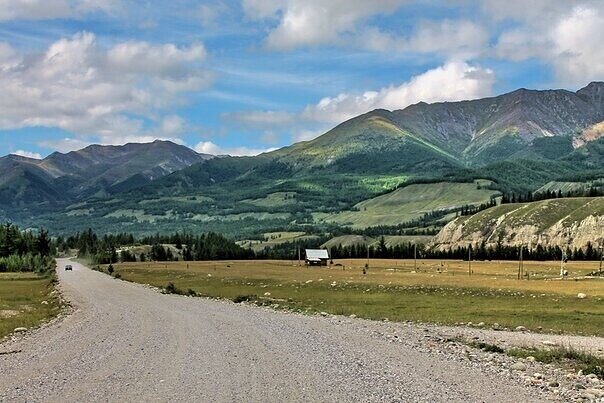 ok.ru/terrasiberica/topic/151374081984644