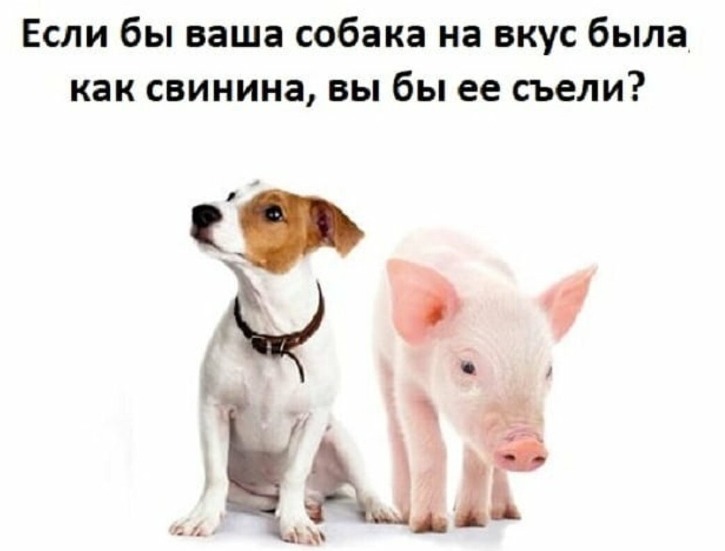 Почему одних мы любим, а других едим?!