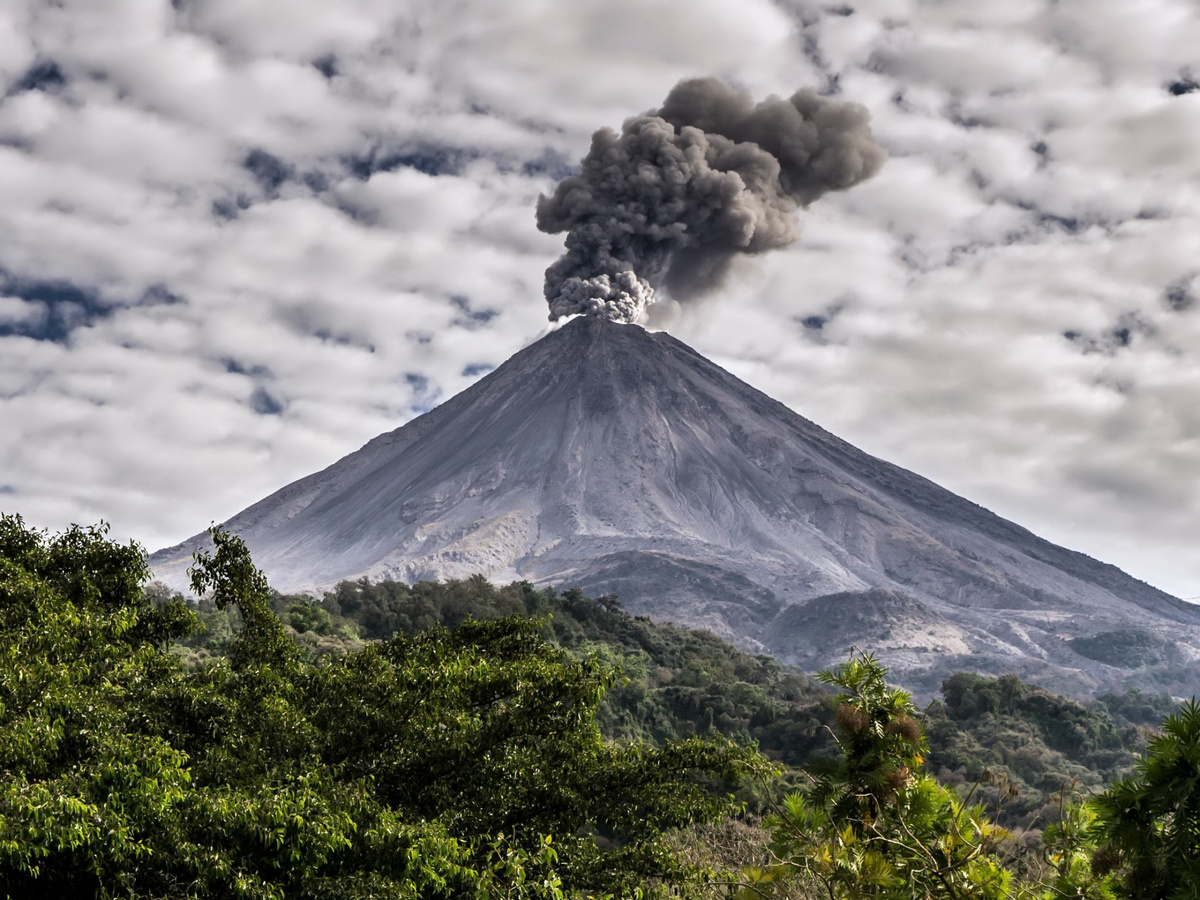 скорость потока лавы может достигать 90-100 км/ч, а её температура – превышать 500º С. Так что, если вы, к своему несчастью, оказались на его пути, то у вас мало шансов уцелеть.

Но есть существо, которое пользуется свойством лавы долго сохранять тепло, – это индонезийская птица малео, откладывающая яйца в вулканический песок.