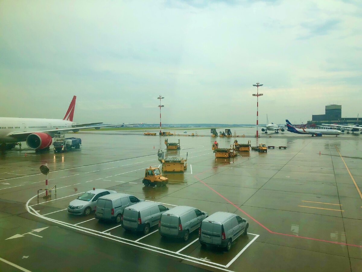 В Шереметьево. Август 2020. Фото из личного архива