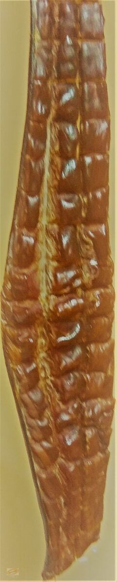 Юкола - вариант сушки рыбы