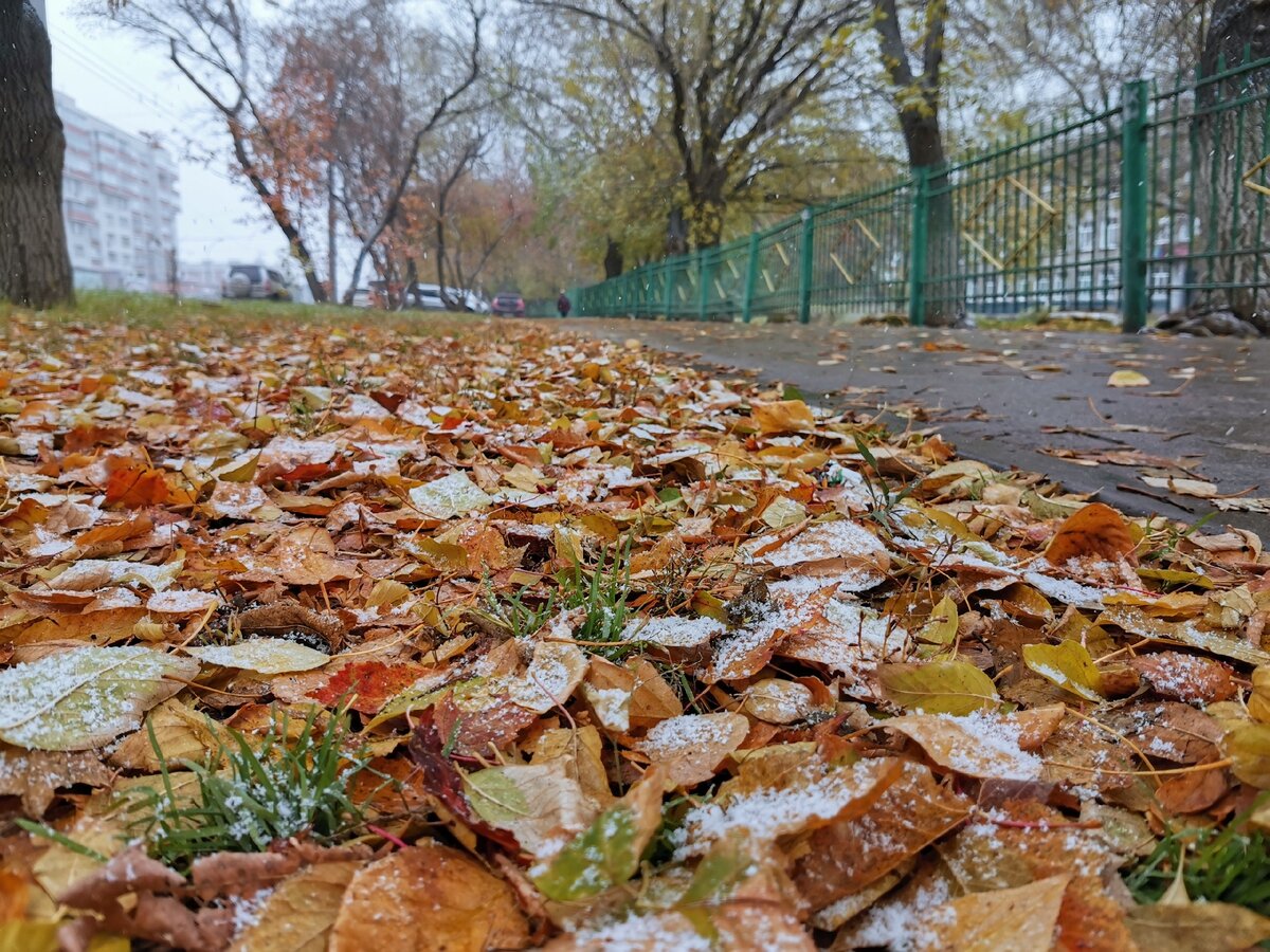 Осень на улице Станиславского
