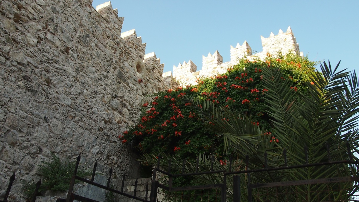 Спасибо за лайк