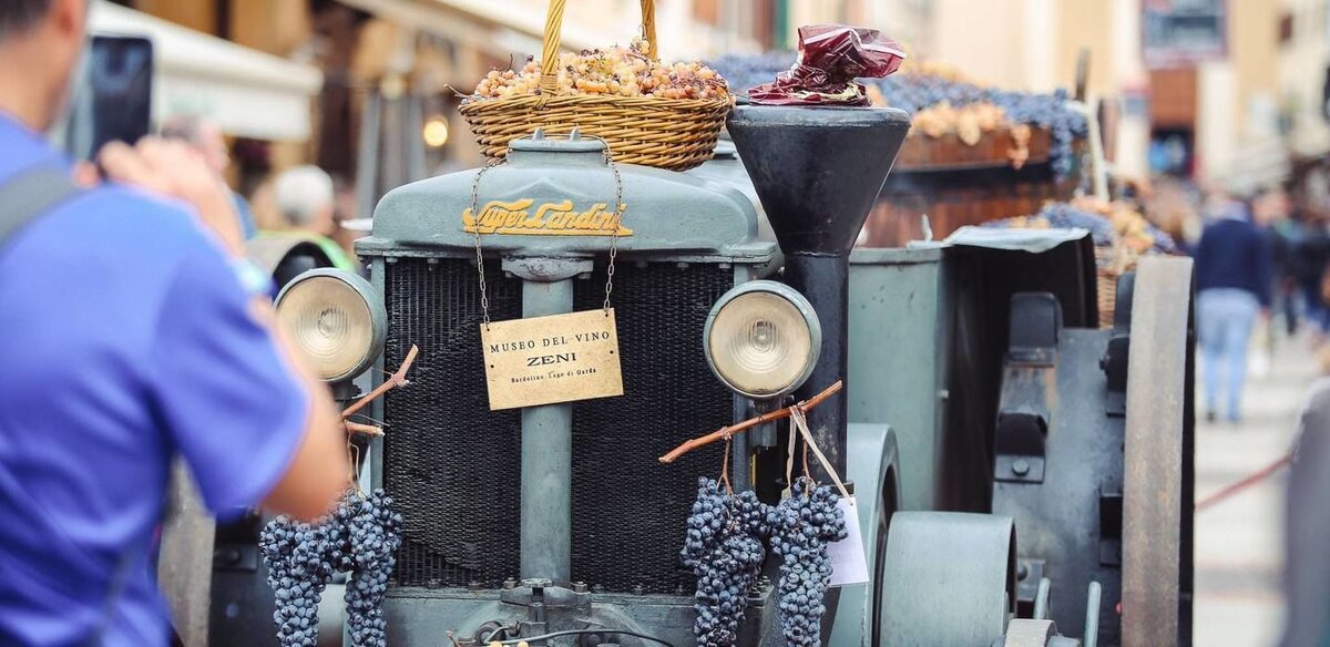 © facebook@fondazionebardolinotop