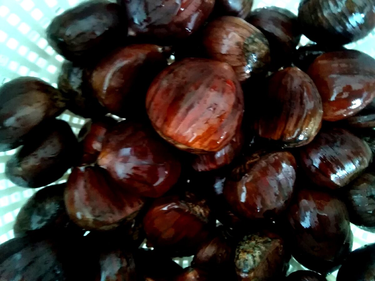 Моем каштаны в друшлаке. Фото из личной коллекции автора 