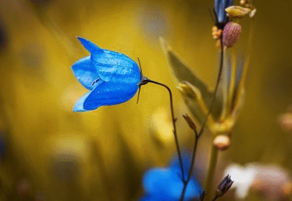 Оригинальная картинка:  pixabay.com