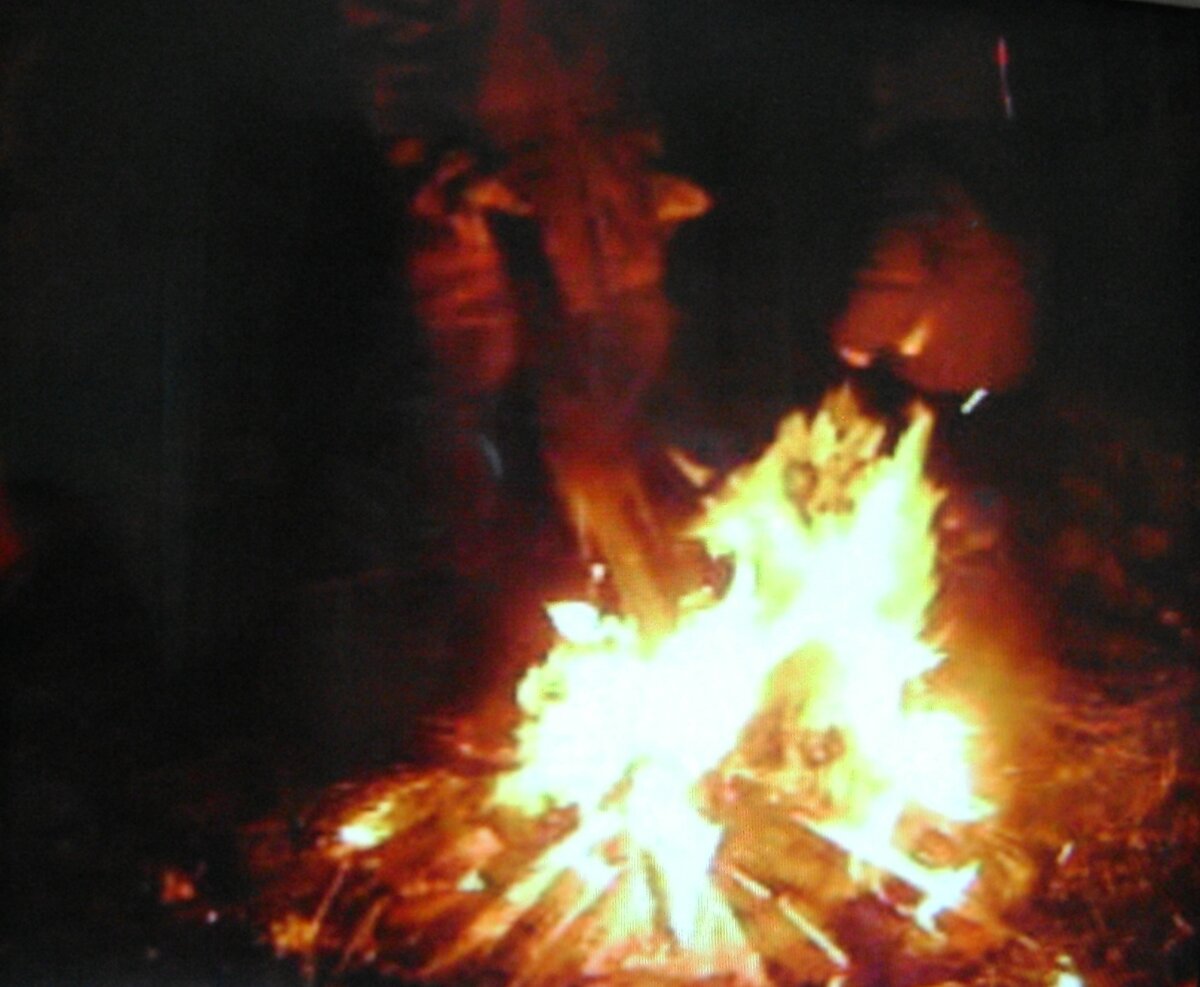 (фото новогоднего костра с встречи года Быка (предыдущего, 2009г.)