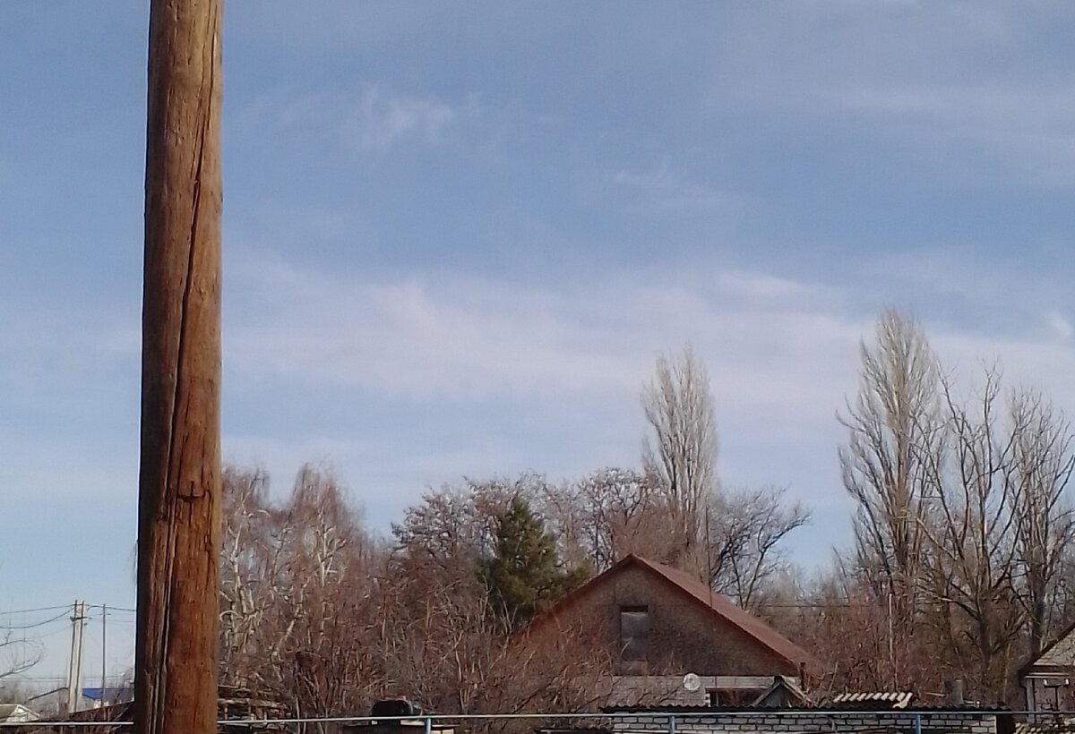 Этот лесок не роща, а погост.