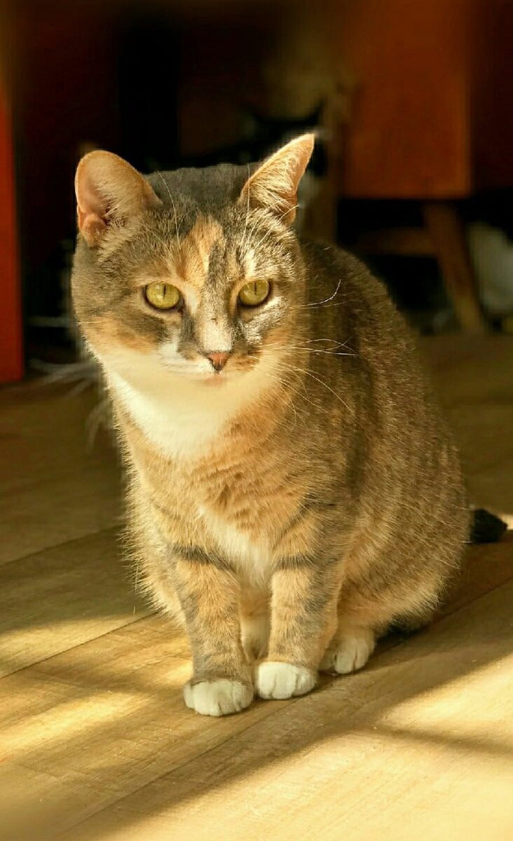 Соня любит чистоту и порядок...