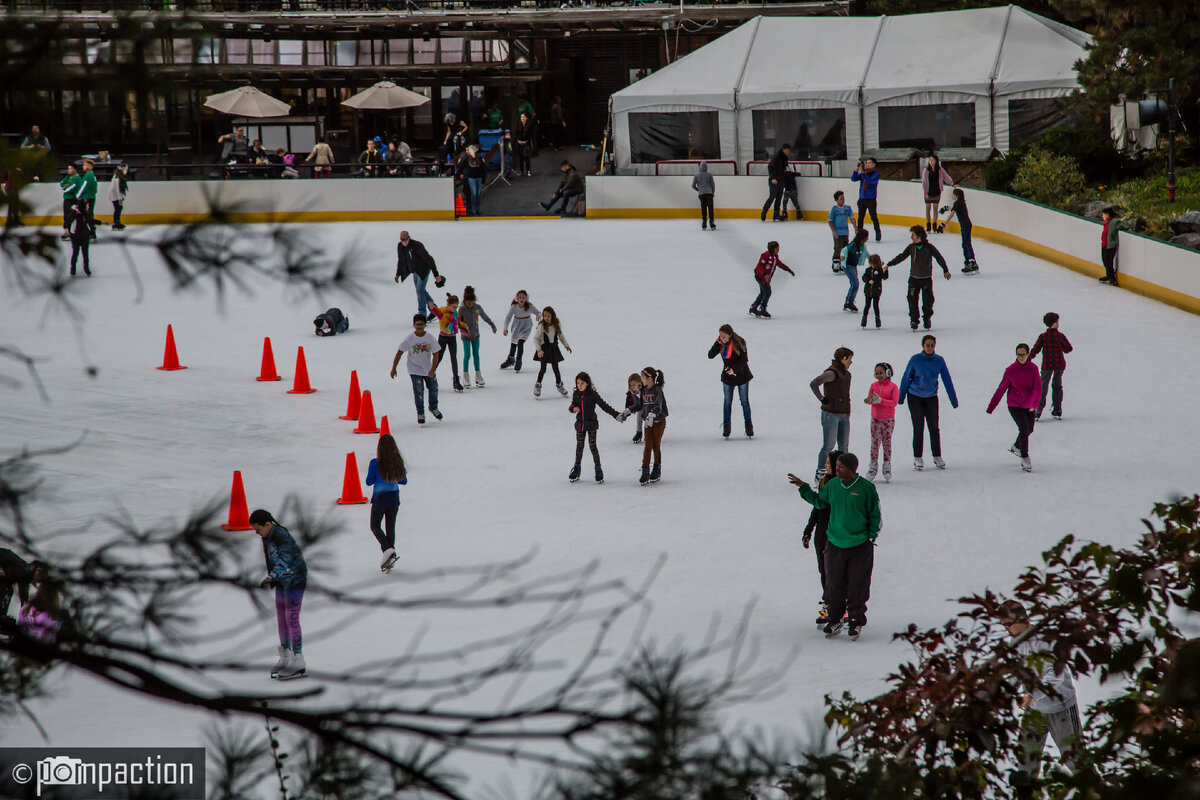 Wollman rink