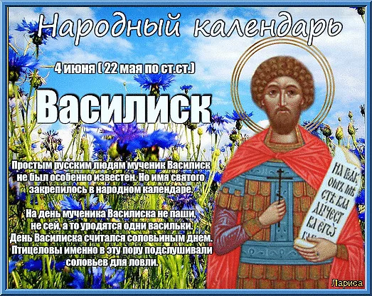 4 иня. 4 Июня народный календарь. Народный праздник Василиск. День памяти мученика василиска.. 4 Июня праздник.