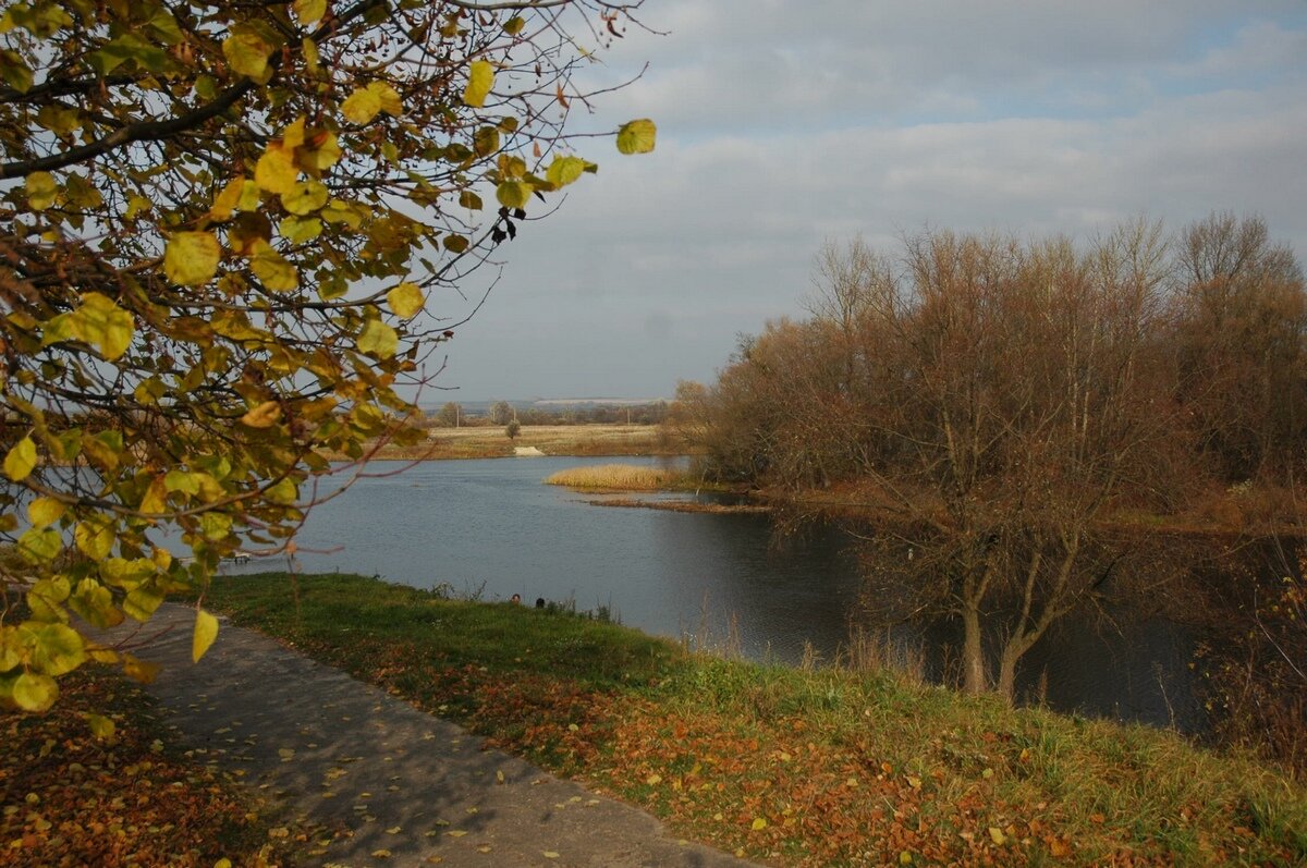 Погода сейм курская. Река Сейм город Курск осень. Река Сейм Курск. Глушково Сейм. Осень в Курске.