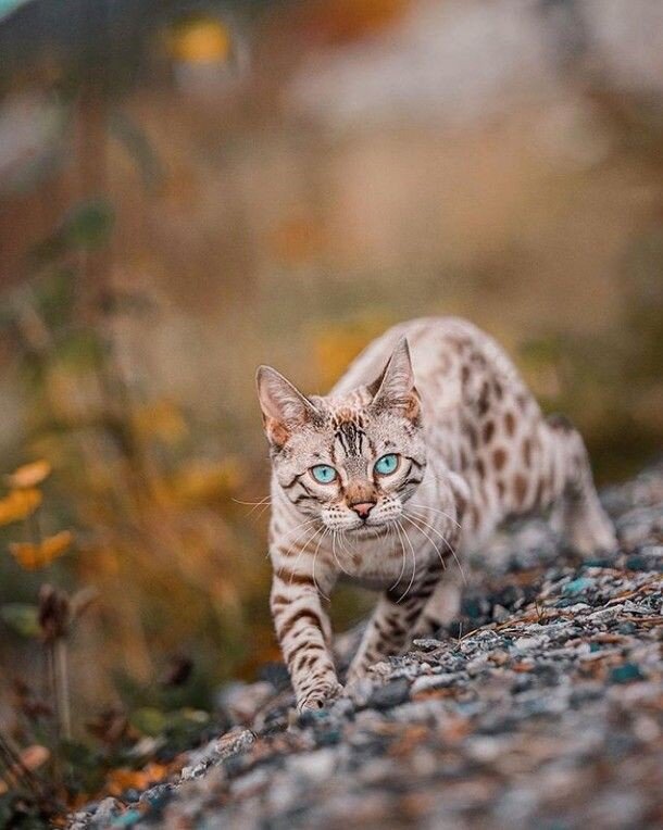 Листайте галерею 