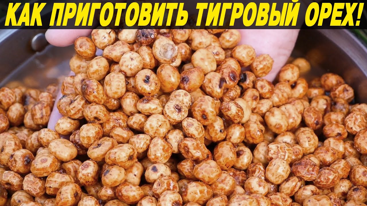 КАК Правильно Готовить Тигровый Орех?! Рецепт от а до я Tiger Nut