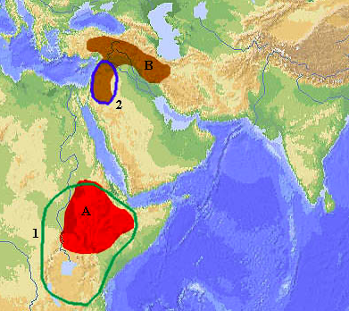 Варианты прародины общих предков единой языковой макросемьи. “Прародина общих предков”: 1 – по И.Дьяконову; 2 – по А.Милитареву. Очаги древнего земледелия: А – Абиссинский; В – Переднеазиатский. 