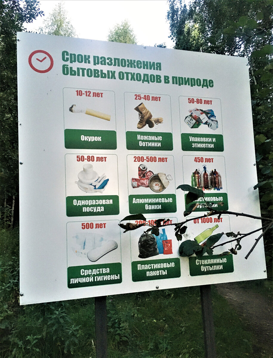 Знали ли вы о сроках разложения того или иного мусора?