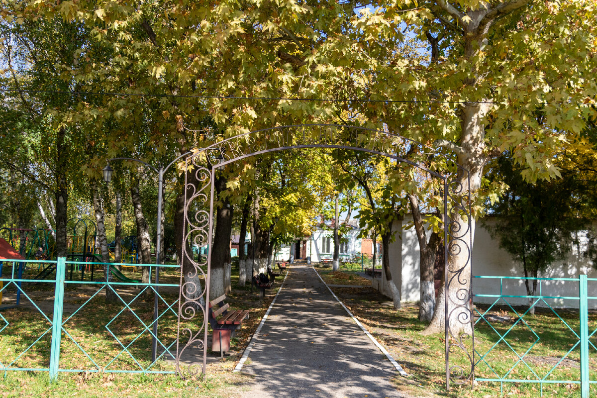 Село Михайловское - единственное место Северского района, где в буквальном  смысле, можно достойно провести оставшиеся годы | Южная жизнь | Дзен