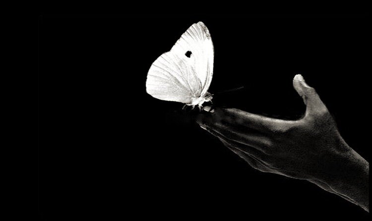 Источник: proza.ru