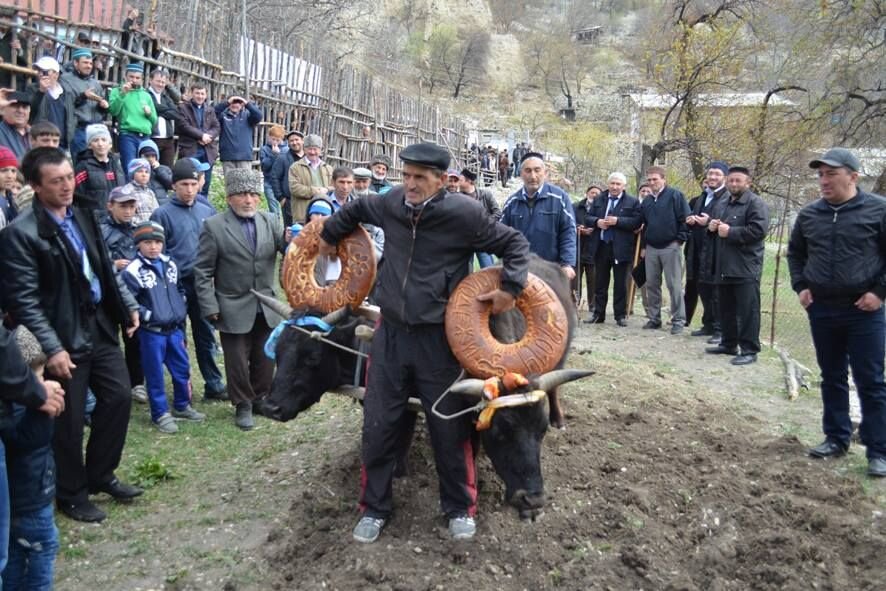 Первая борозда в Дагестане