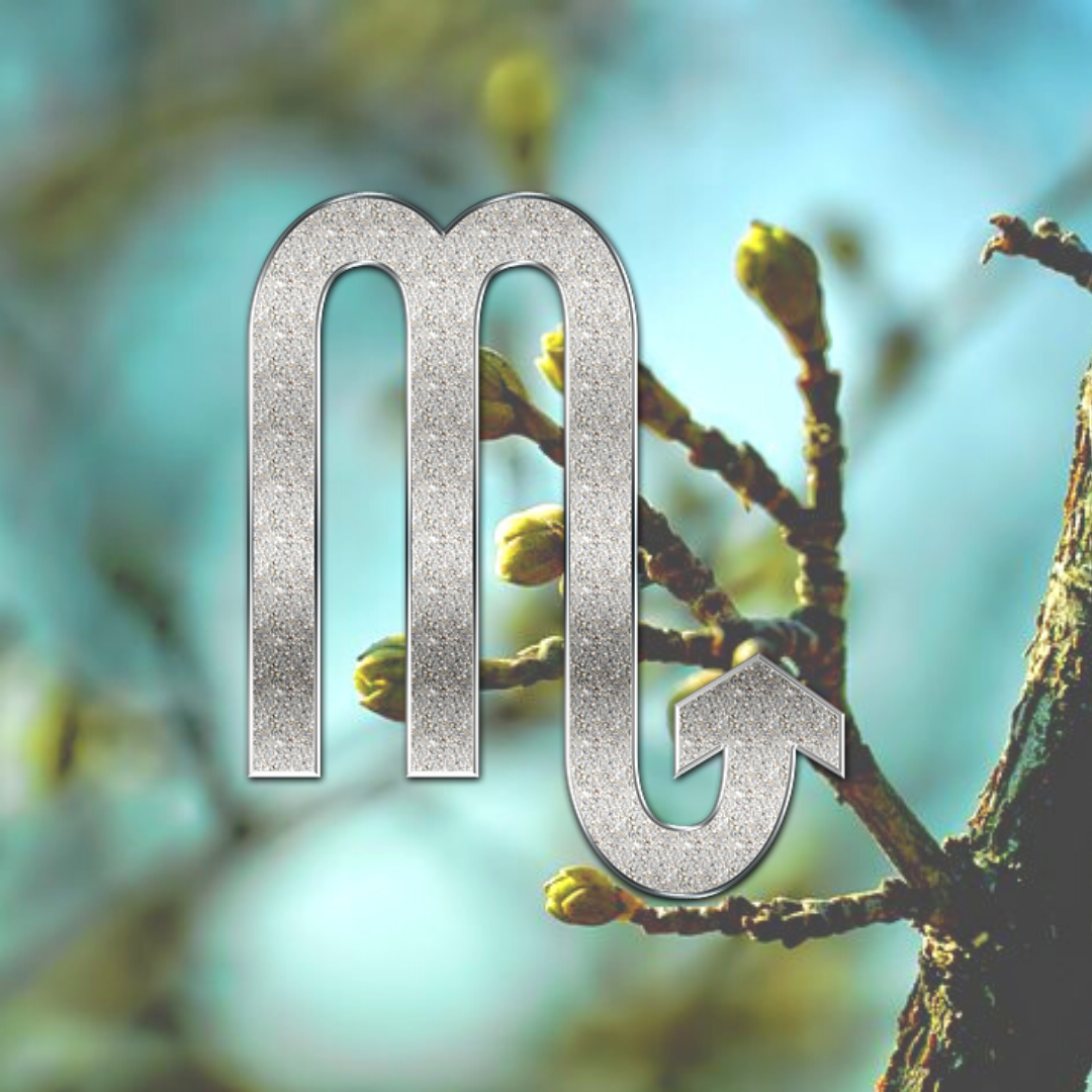 яндекс-картинки