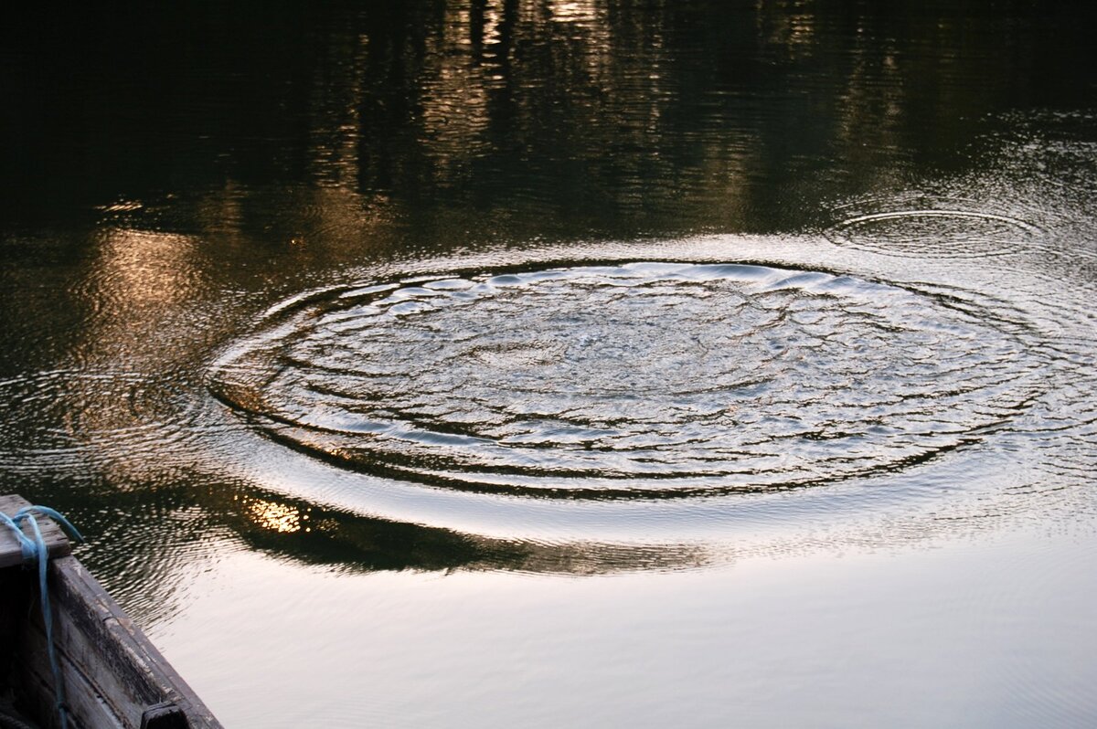 Фото взято из этих ваших интернетов