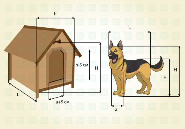 Чертежи с размерами будки для собаки – 90 фото и схема сборки конуры для питомца