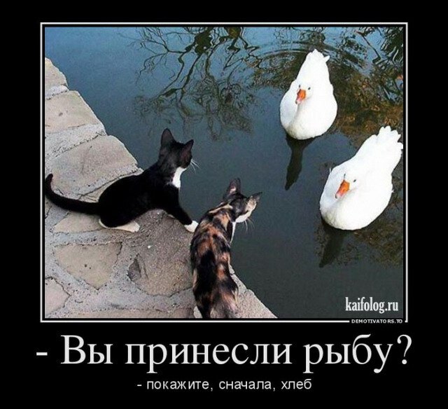 Веселые демотиваторы