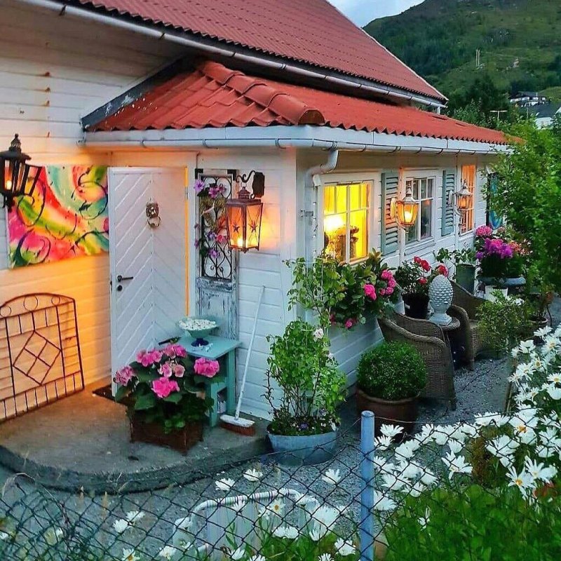 🌳🌳🌳листайте➡