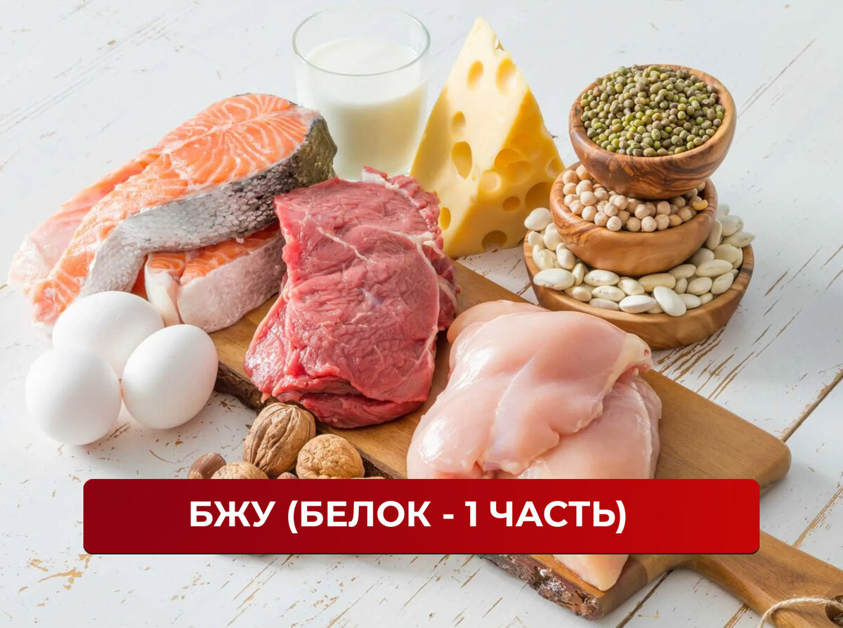 Мясо рыба курица. Еда животного происхождения. Животные белки продукты. Белки продукты. Еда животного происхождения.