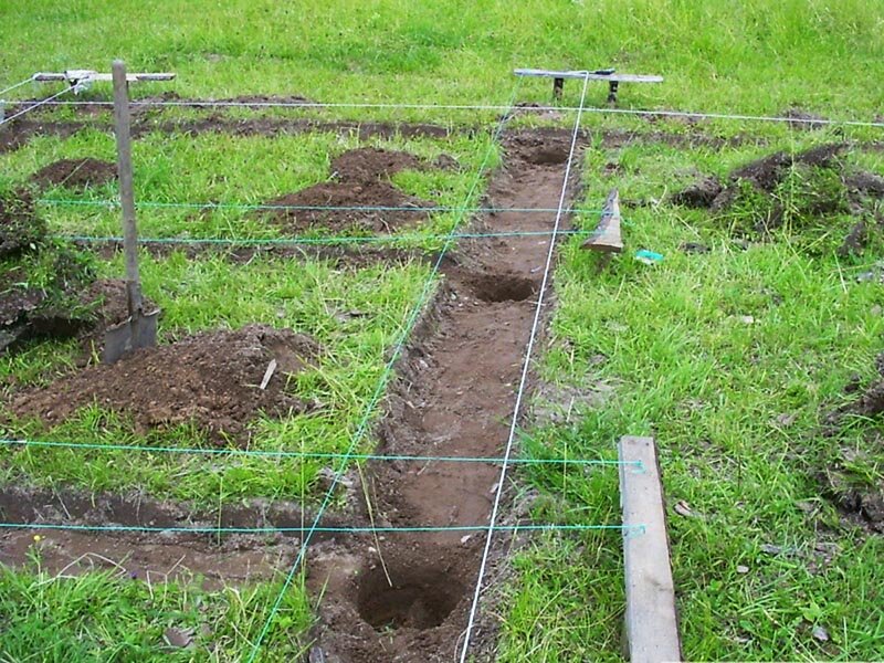 Источник: "Яндекс картинки"