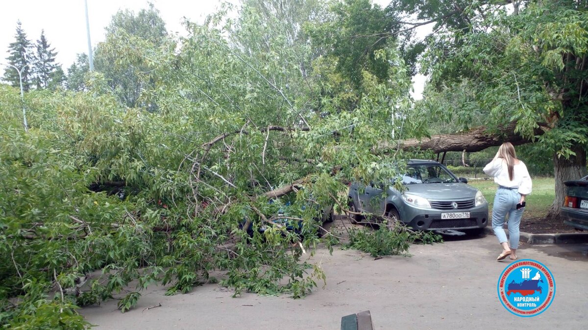 Стояло дерево упало