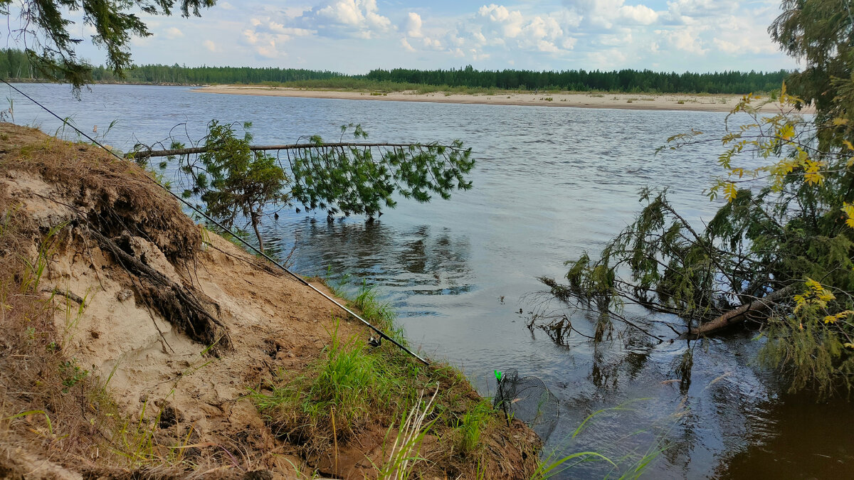 💯% зацепы в таких местах донки,поплавочной.