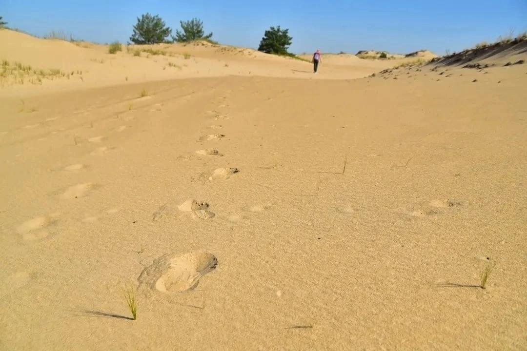 Песчаные дюны в Ростове