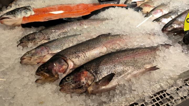 Фото: globallookpress.com/Maksim Konstantinov