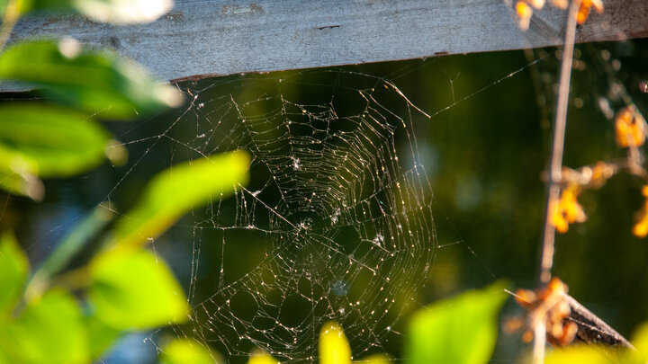 © SVETLANA VOZMILOVA/GLOBALLOOKPRESS 