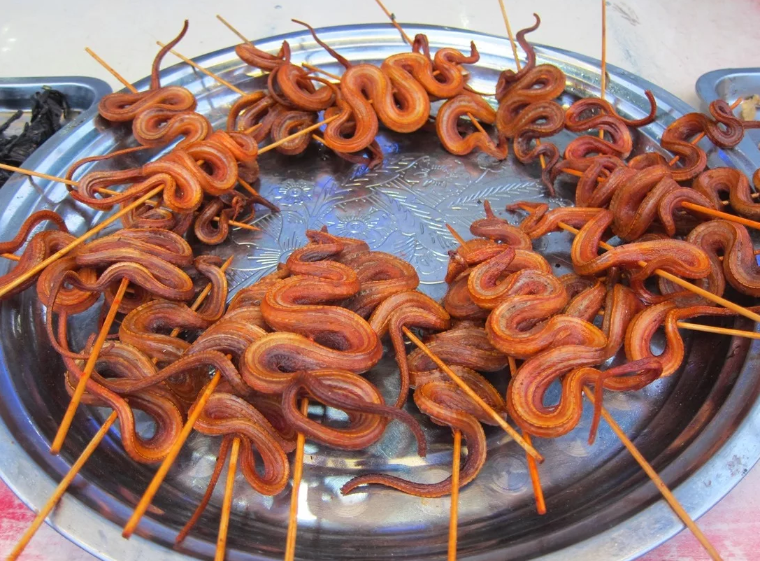 Где едят червей. Блюдо из змеи.