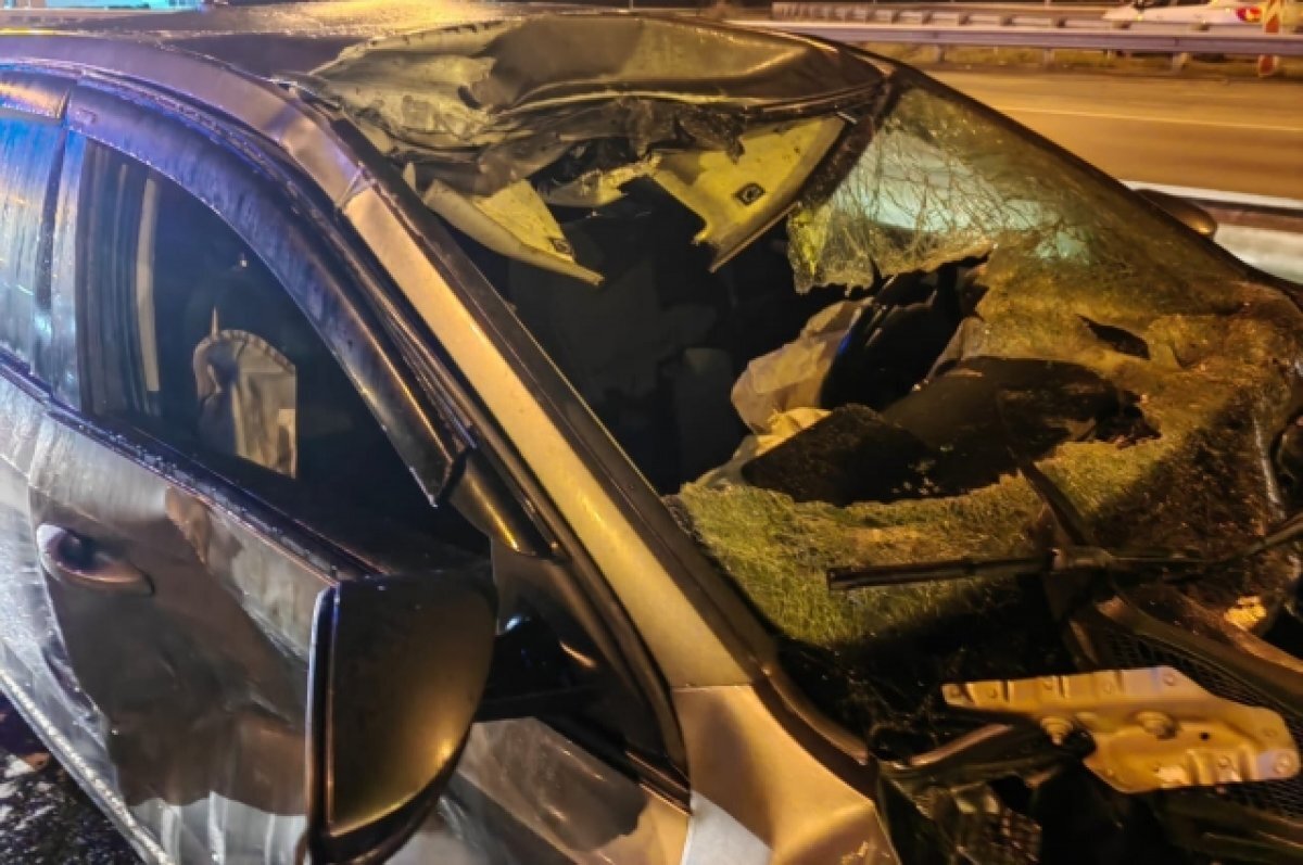    На Урале при аварии пассажир иномарки вылетел из автомобиля и погиб