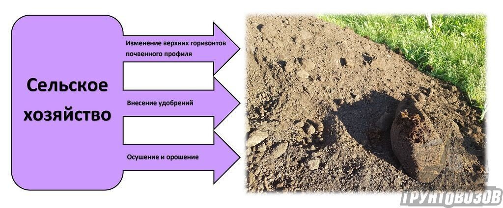 Почва образуется из каких горных пород. Плодородие почвы. Формирование почвы. Факторы образования почвы. Факторы почвообразования деятельность человека.