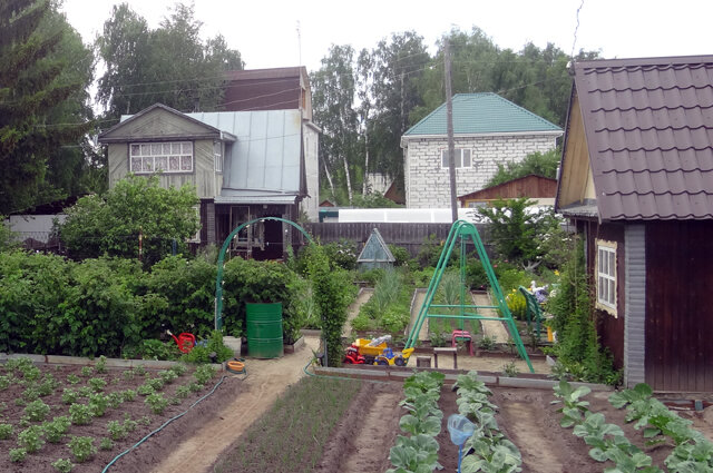 Фото "АиФ"