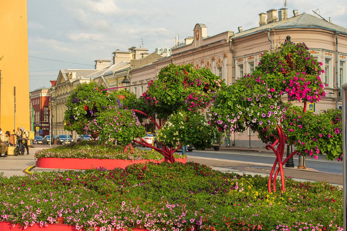 Москва тверской бульвар 24с1. Цветочный бульвар Москва. Тверской бульвар Москва. Тверской бульвар проект.