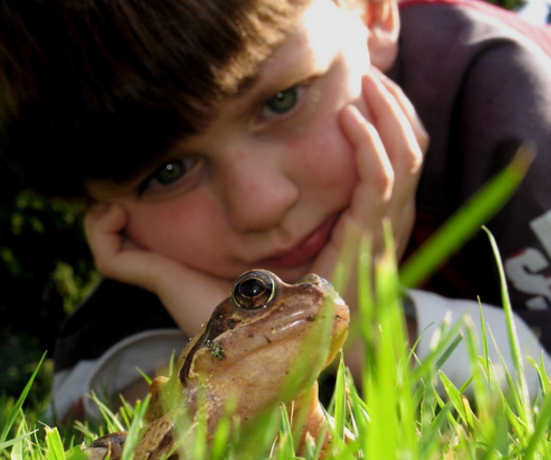 Мальчик с биноклем. Изучение природы. Наблюдать за людьми. Дети наблюдают. Дети наблюдают за природой.